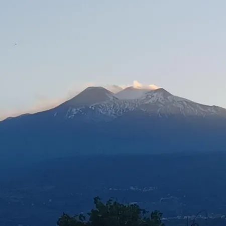 Fedegi House * Schisò